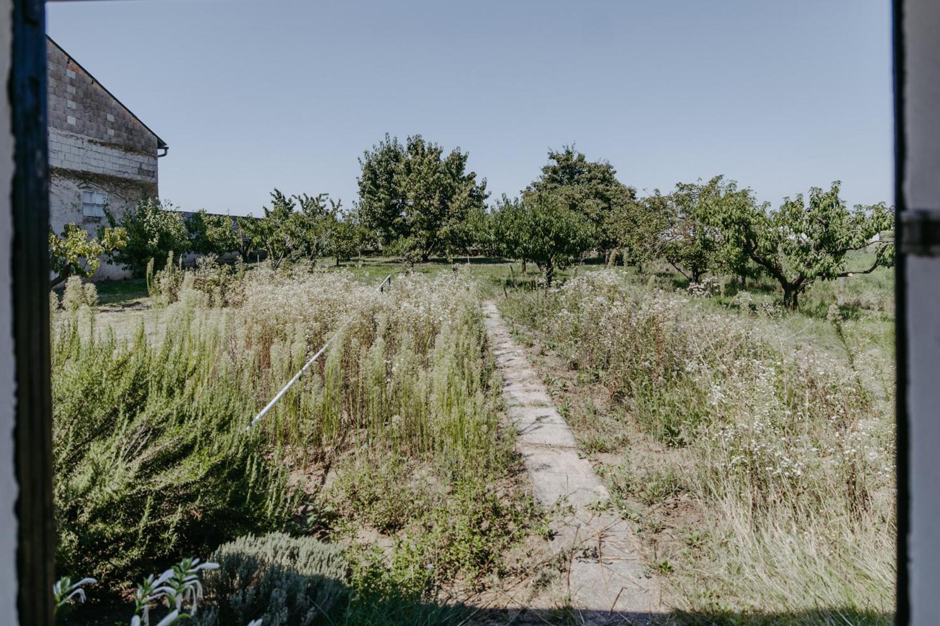 Ferienhaus Wallern Im Burgenland מראה חיצוני תמונה